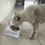 LUNA - Orthopädischer Katzennapf gegen Erbrechen und Nackenprobleme