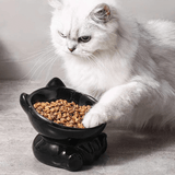 KITTY - Ergonomischer Katzennapf gegen Übelkeit und Erbrechen