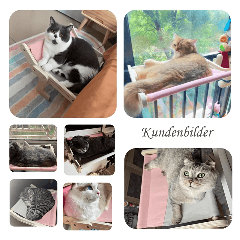 SCHWEBECAT - Innovatives Katzenbett für ruhigere Nächte