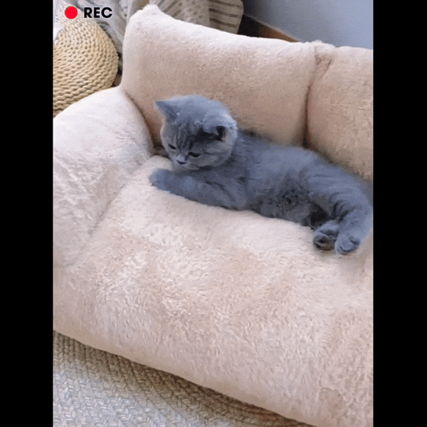CATICO - Flauschige Katzencouch aus atmungsaktiver Baumwolle