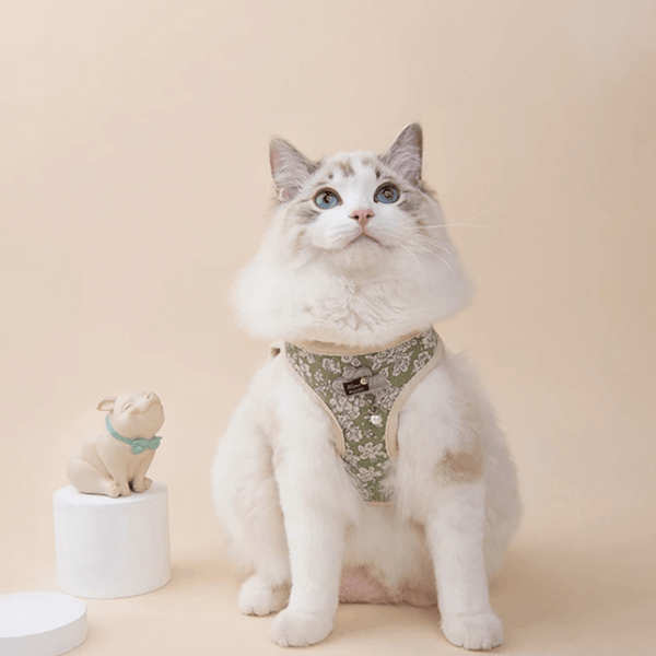 HANNA - Handgemachtes Katzengeschirr mit elegantem Blüten-Design und Leine