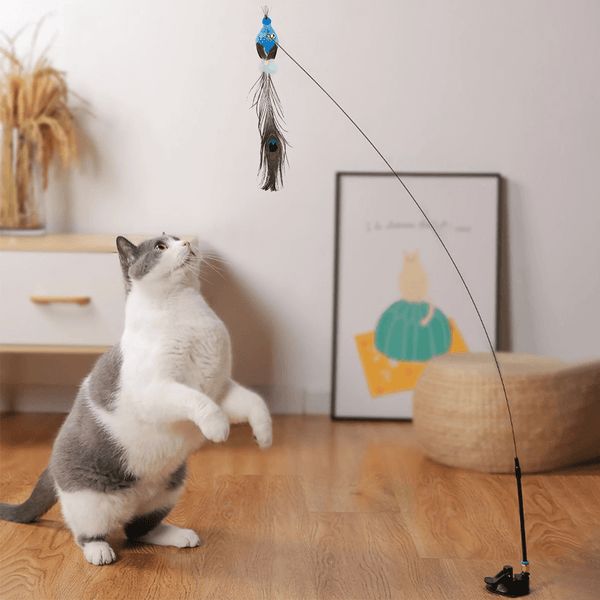 BIRDYCAT -  Innovatives Katzenspielzeug gegen Langeweile