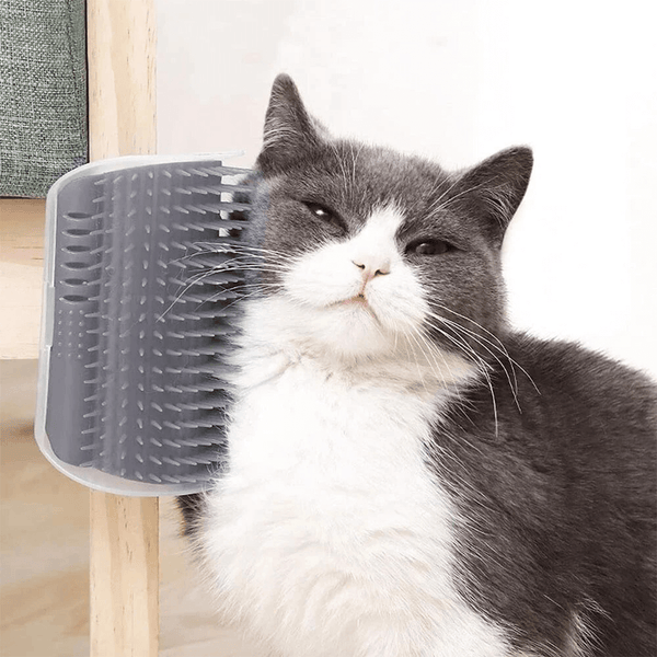 ECKOCAT - Innovative Katzenbürste, die an jeder Ecke befestigt werden kann