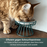BALI - Ergonomischer Katzennapf gegen Erbrechen und Schnurrhaarstress